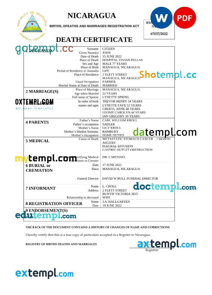 professional invoice template pdf free
