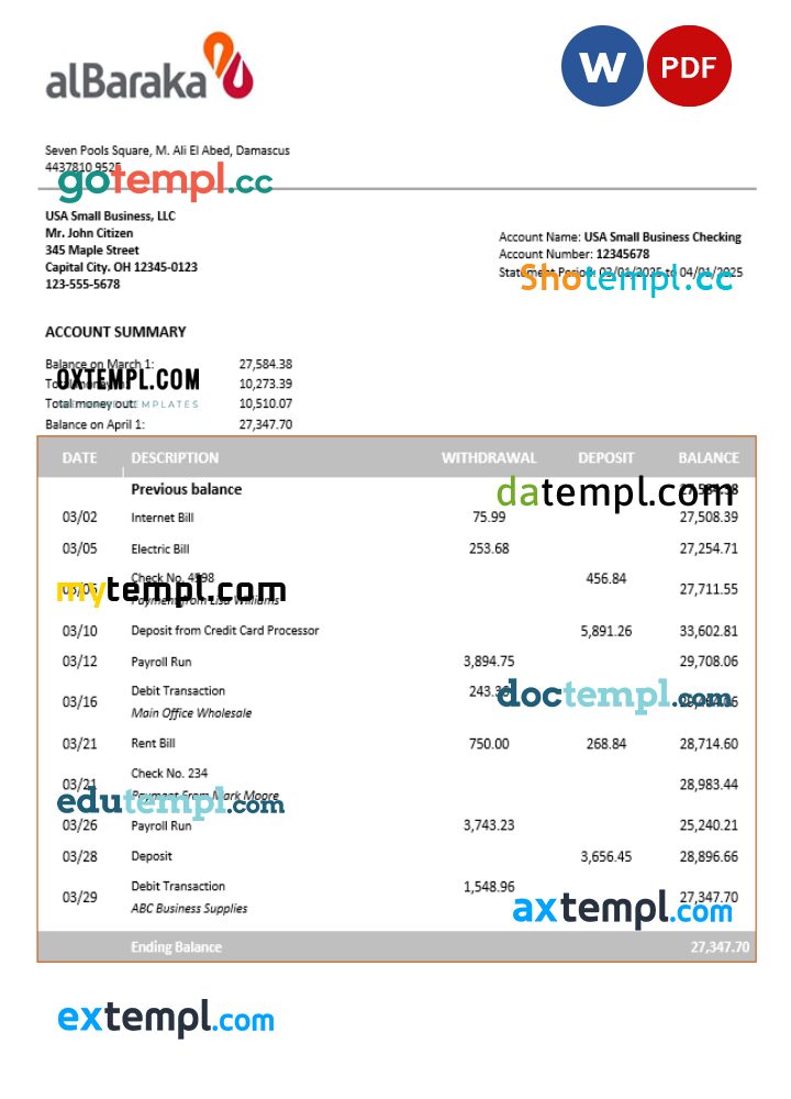 Syrian Al Baraka corporate checking account statement Word and PDF template