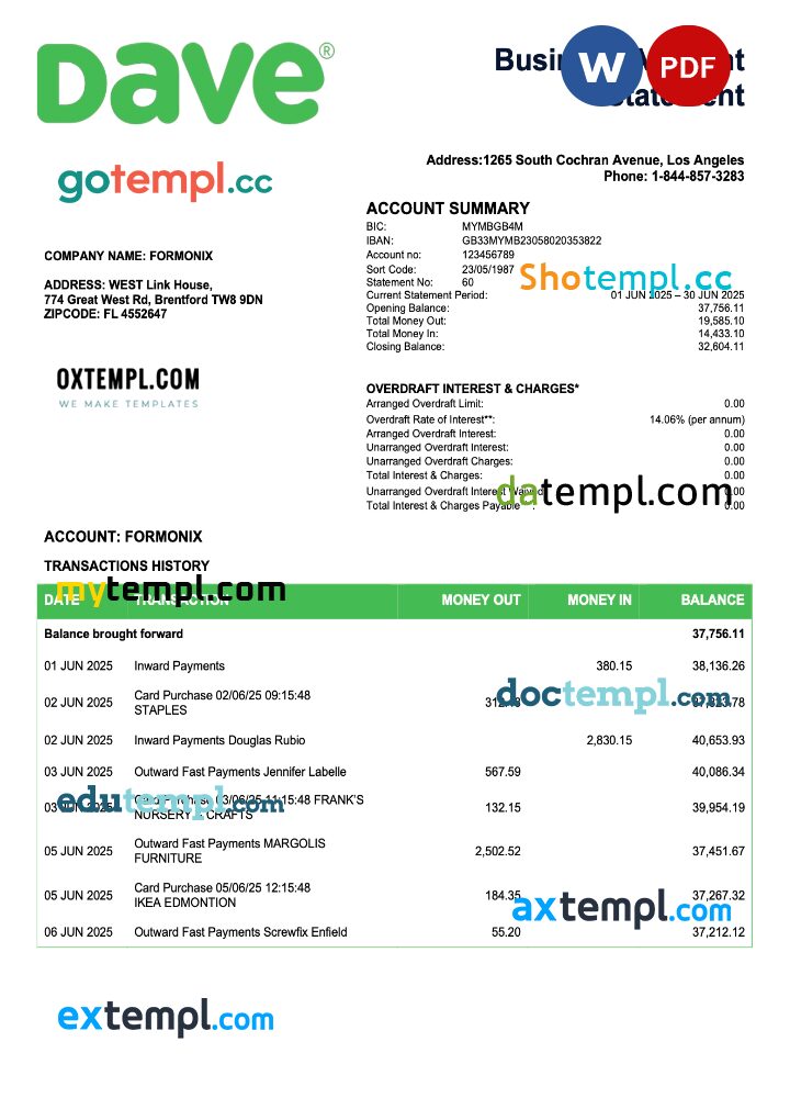 USA Dave firm checking account statement Word and PDF template