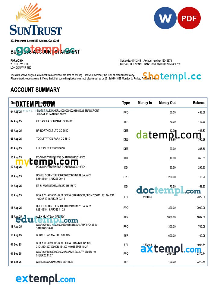 USA Georgian Sun Trust enterprise account statement Word and PDF template