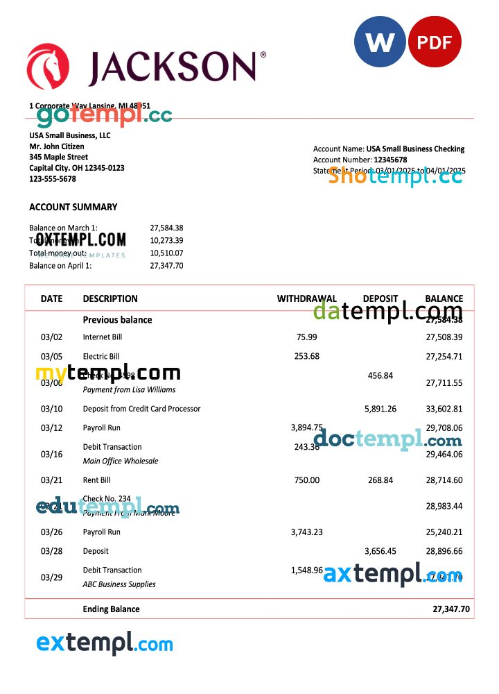 USA Jackson National organization account statement Word and PDF template